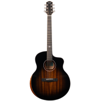 Гитара Aion F30