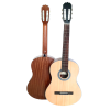 ic-100_na-removebg-preview-500x500