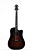 Гитара Aion F20