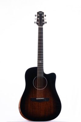 Гитара Aion F20