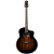 Гитара Aion F30