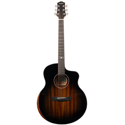 Гитара Aion F30