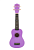 21-11purple